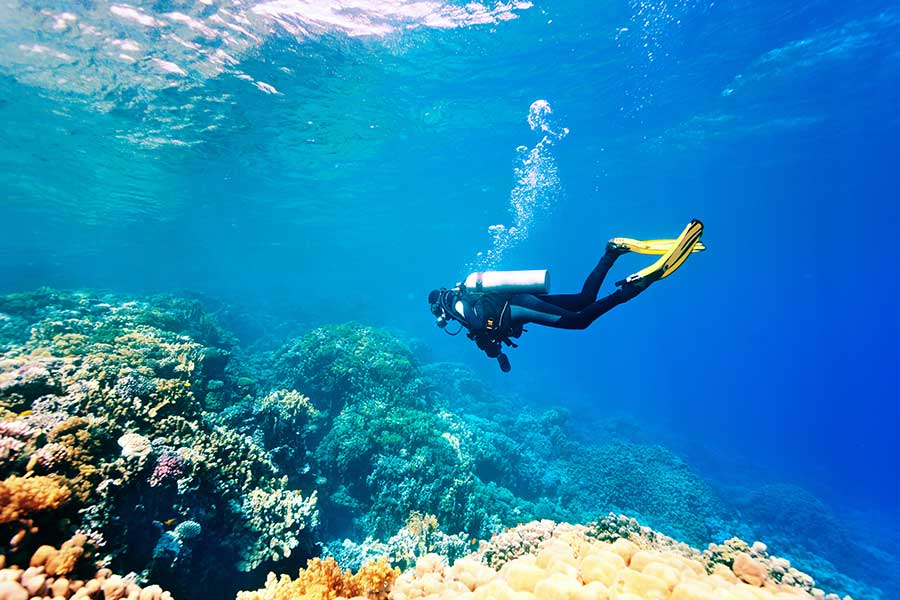 Day tour | Experience Scuba Diving at Nha Trang Diving Center